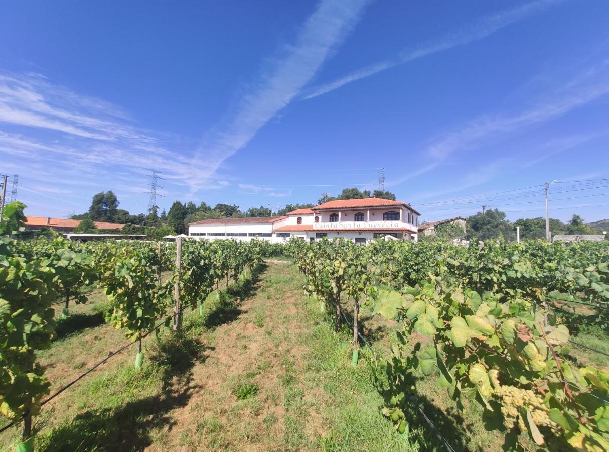 Willa Quinta Santa Lucrecia Braga Zewnętrze zdjęcie